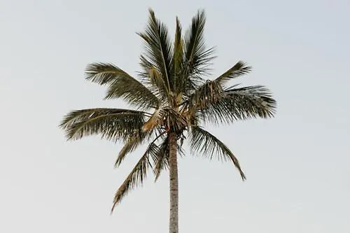 2 Bedroom Unit Mooloolaba- Walk To The Beach
